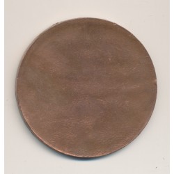Médaille - Fourni par l'Allemagne en exécution du traite de Versailles - cuivre - uniface - 51mm - TTB+ 2