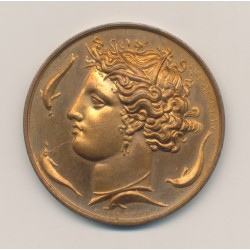 Médaille - Société des Sciences,des lettres et des arts - Seine et Oise - 1834 - par Alphée Dubois - cuivre - 37mm - SUP