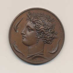 Médaille - Société des Sciences,des lettres et des arts - Seine et Oise - 1834 - par Alphée Dubois - cuivre - 37mm - SUP