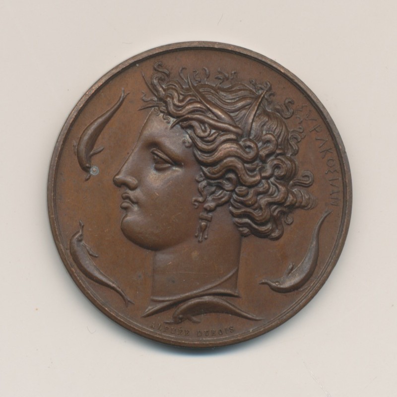 Médaille - Société des Sciences,des lettres et des arts - Seine et Oise - 1834 - par Alphée Dubois - cuivre - 37mm - SUP