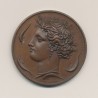 Médaille - Société des Sciences,des lettres et des arts - Seine et Oise - 1834 - par Alphée Dubois - cuivre - 37mm - SUP