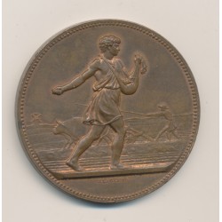 Médaille - Comice agricole de La Rochelle - J.Lagrange - bronze - 51mm - SUP