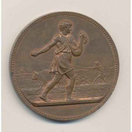 Médaille - Comice agricole de La Rochelle - J.Lagrange - bronze - 51mm - SUP