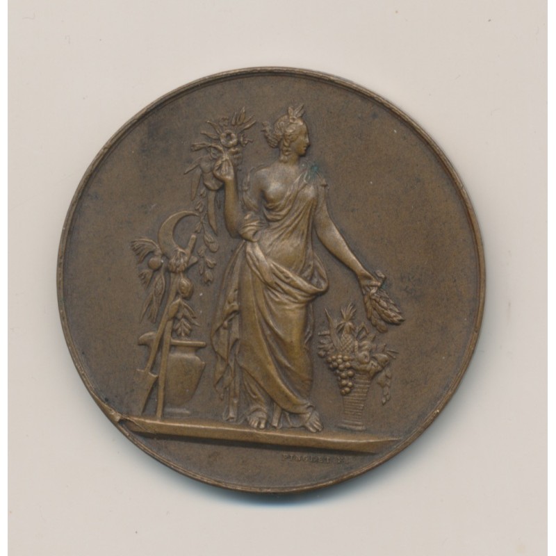 Médaille - Société d'horticulture et viticulture - Eure et loire - bronze - 41mm - Pingret