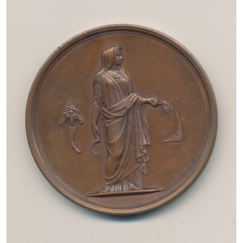 Médaille - Thème agricole - E.Oudiné - cuivre - 51mm - SUP