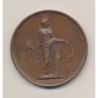 Médaille - Thème agricole - E.Oudiné - cuivre - 51mm - SUP