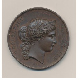 Médaille - Concours général d'animaux en boucherie - Paris 1877 - cuivre - 51mm - TTB+