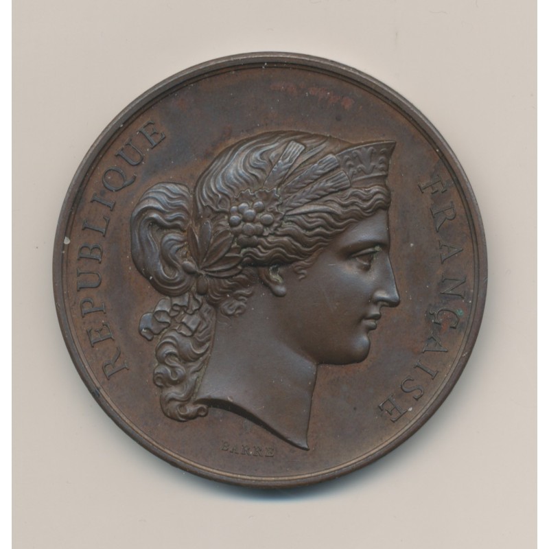 Médaille - Concours général d'animaux en boucherie - Paris 1877 - cuivre - 51mm - TTB+
