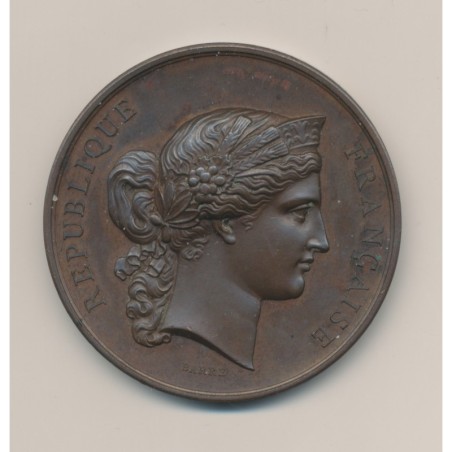 Médaille - Concours général d'animaux en boucherie - Paris 1877 - cuivre - 51mm - TTB+