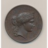 Médaille - Concours général d'animaux en boucherie - Paris 1877 - cuivre - 51mm - TTB+