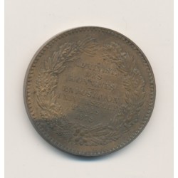 Médaille - Exposition universelle - Paris 1878 - cuivre - 31mm - TTB 2