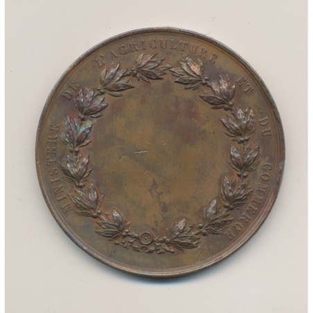Médaille - Exposition universelle - Vienne 1873 - cuivre - 51mm - TTB+
