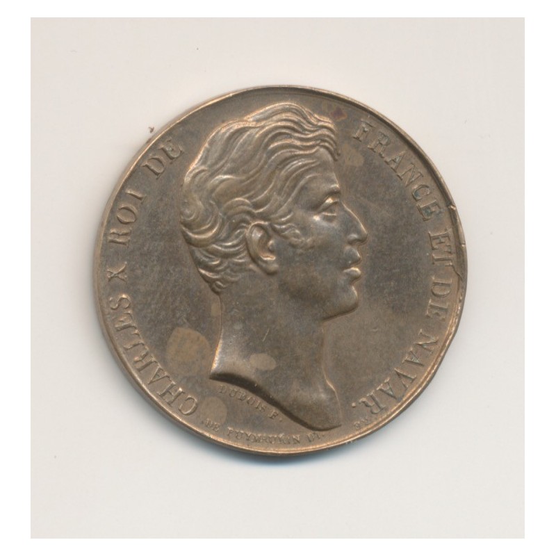 Médaille - Charles X - Donnée aux habitants de la Vendée - 27mm - bronze - TTB