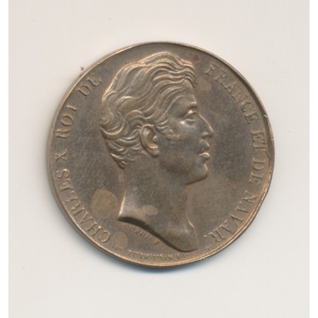 Médaille - Charles X - Donnée aux habitants de la Vendée - 27mm - bronze - TTB
