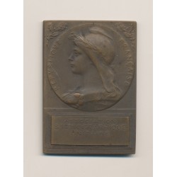 Plaquette - Association Sténographique - 1902-1908 - bronze - Roty - TTB