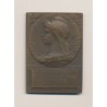 Plaquette - Association Sténographique - 1902-1908 - bronze - Roty - TTB