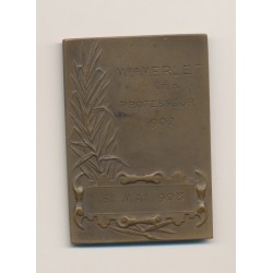 Plaquette - Association Sténographique - 1902-1908 - bronze - Roty - TTB 2