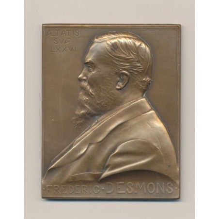 Plaquette - Frédéric Desmons - Sénateur - 1909 - bronze - G.Prudhomme - TTB+