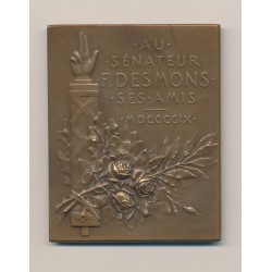 Plaquette - Frédéric Desmons - Sénateur - 1909 - bronze - G.Prudhomme - TTB+ 2