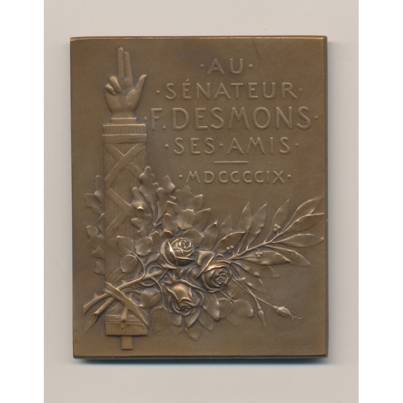 Plaquette - Frédéric Desmons - Sénateur - 1909 - bronze - G.Prudhomme - TTB+