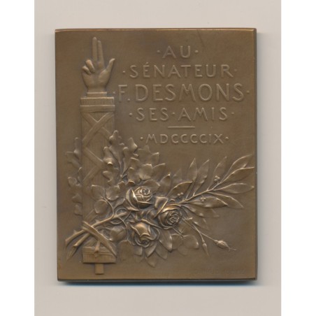 Plaquette - Frédéric Desmons - Sénateur - 1909 - bronze - G.Prudhomme - TTB+