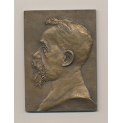 Plaquette - Samuel Gout - 1861-1924 - bronze - TTB