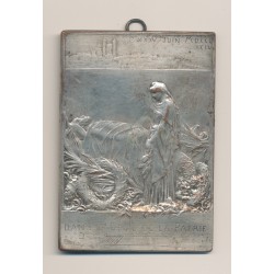 Plaquette Cliché uniface - Funéraille Sadi Carnot - Dans le deuil de la patrie - 1864 - TTB