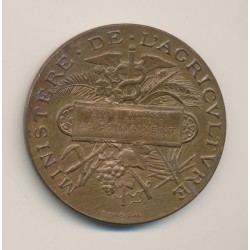 Médaille - Comice agricole des 2 Cantons de St Maixent - deux sèvres - 1901 - bronze - 52mm - H.Ponscarme - TTB+ 2