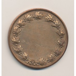 Médaille - Lice Chansonnière - 1888 - bronze - Oudiné - TTB - 51mm 2
