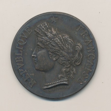 Médaille - Exposition horticole et florale - Angoulême 1885 - argent - 37mm - TTB