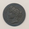 Médaille - Exposition horticole et florale - Angoulême 1885 - argent - 37mm - TTB