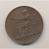 Médaille - Institution - 1874 - bronze - 37mm - TTB+