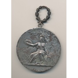 Médaille - Société d'encouragement à l'instruction - 1907 - Seine et oise - 47mm - bronze argenté - TB