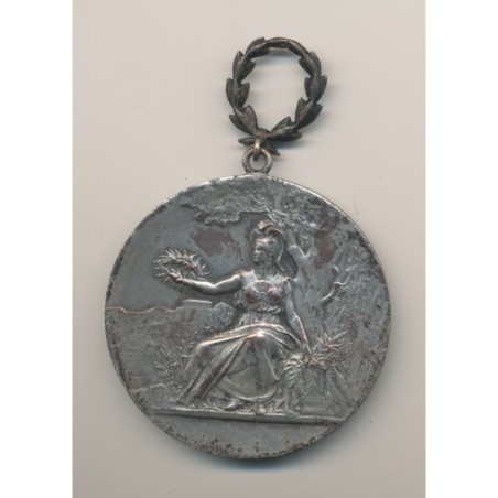 Médaille - Société d'encouragement à l'instruction - 1907 - Seine et oise - 47mm - bronze argenté - TB