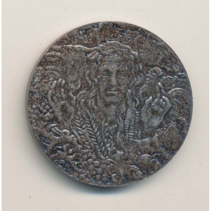 Médaille - Cinquantenaire des chambres d'agriculture - 1924-1974 - bronze argenté - 35mm - TTB