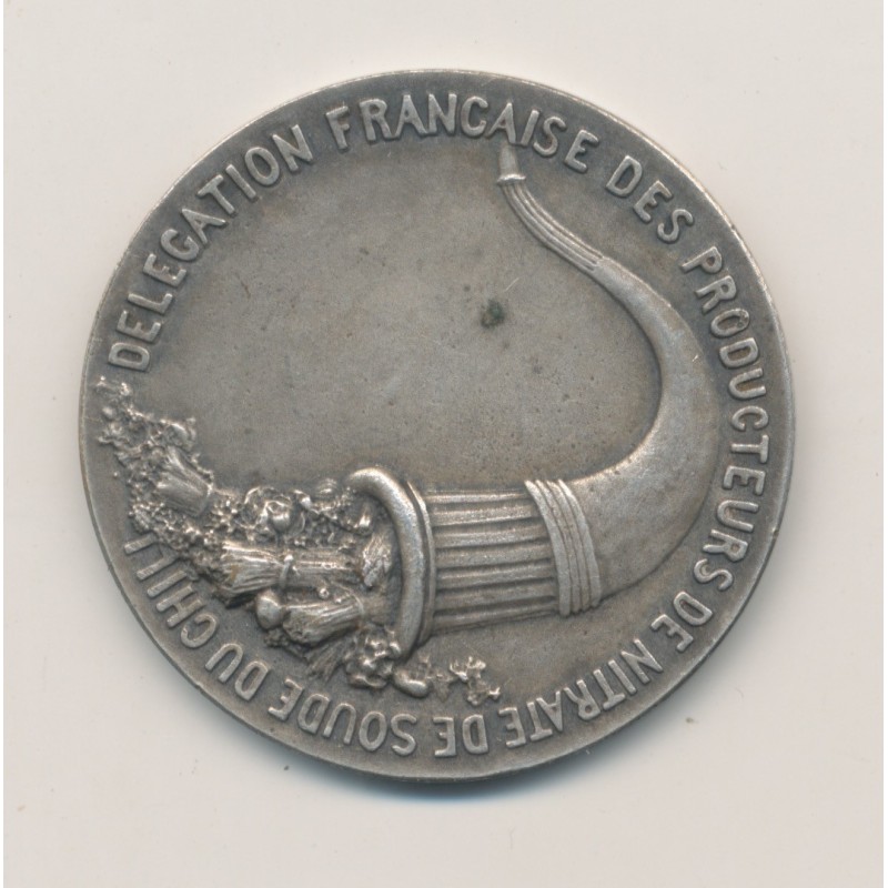 Médaille - Délégation Française des producteurs de nitrate de soude au Chili - bronze argenté - 37mm - TTB