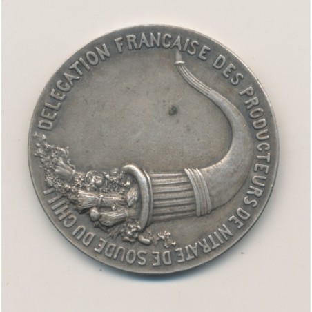 Médaille - Délégation Française des producteurs de nitrate de soude au Chili - bronze argenté - 37mm - TTB