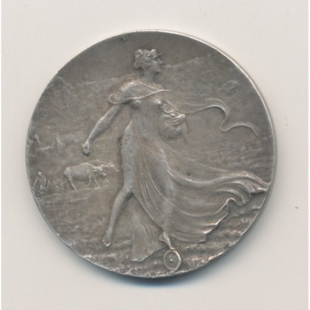 Médaille - Délégation Française des producteurs de nitrate de soude au Chili - bronze argenté - 37mm - TTB