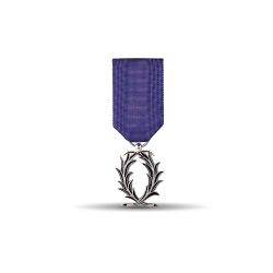 Ordre des palmes académiques - Chevalier - Taille ordonnance