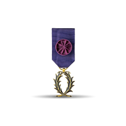 Ordre des palmes académiques - Officier - Taille ordonnance