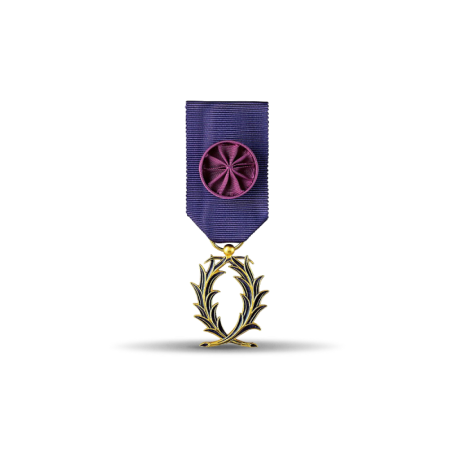 Ordre des palmes académiques - Officier - Taille ordonnance