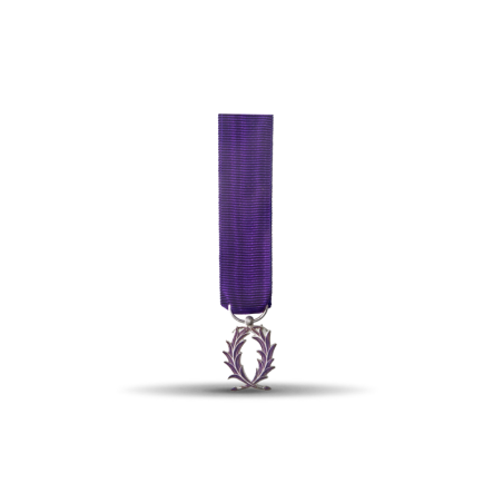 Ordre des palmes académiques - Chevalier - Taille réduction