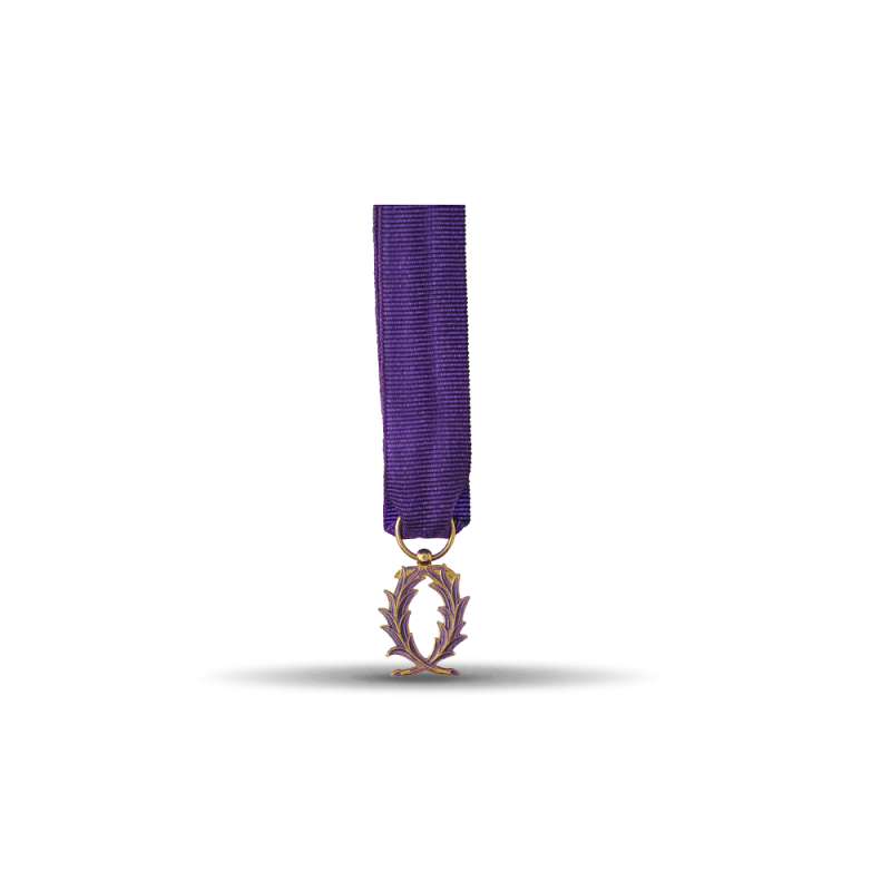 Ordre des palmes académiques - Officier - Taille réduction