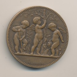 Médaille - Les trois angelots - Société horticulture et viticulture La Rochelle - bronze - 41mm 