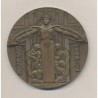 Médaille - Défense passive - 1939/1945 - bronze - 59mm - Cochet