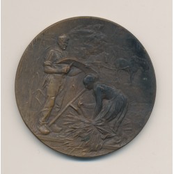 Médaille - Comice agricole La Rochelle - Concours de Saint martin de ré 1902 - bronze - 50mm