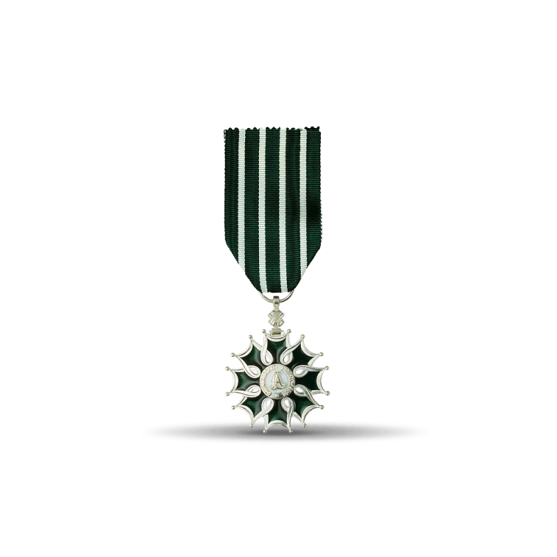 Ordre des arts et des lettres - Chevalier - Taille ordonnance