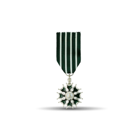 Ordre des arts et des lettres - Chevalier - Taille ordonnance