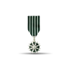 Ordre des arts et des lettres - Chevalier - Taille ordonnance