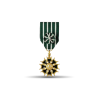 Ordre des arts et des lettres - Officier - Taille ordonnance